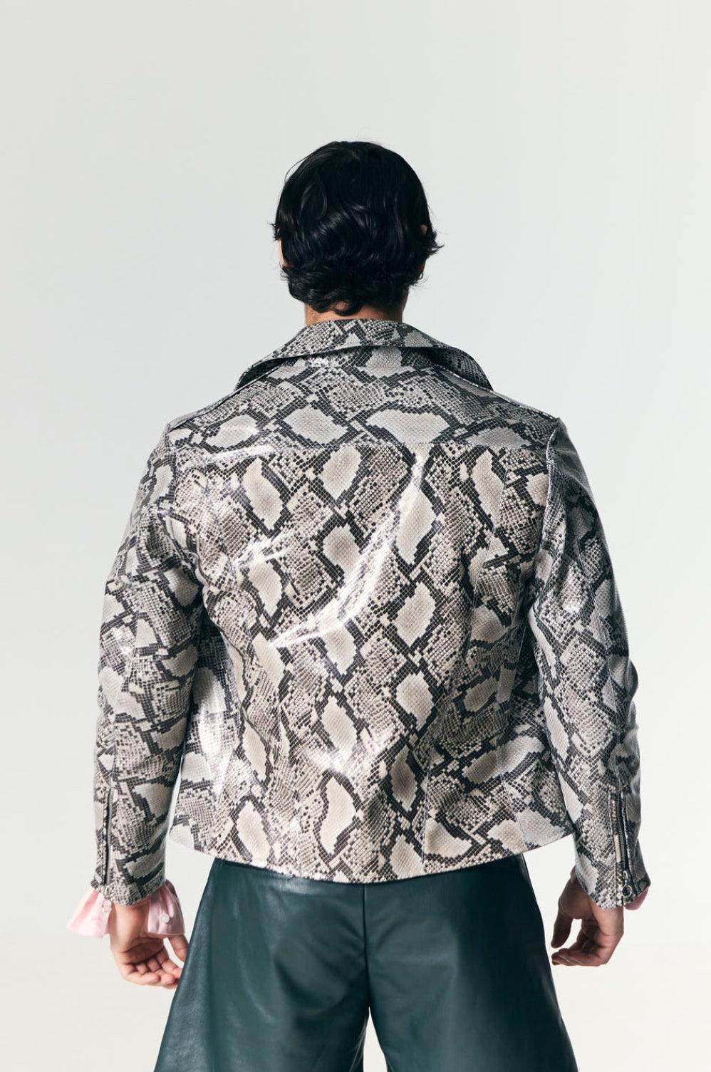 The Python Biker