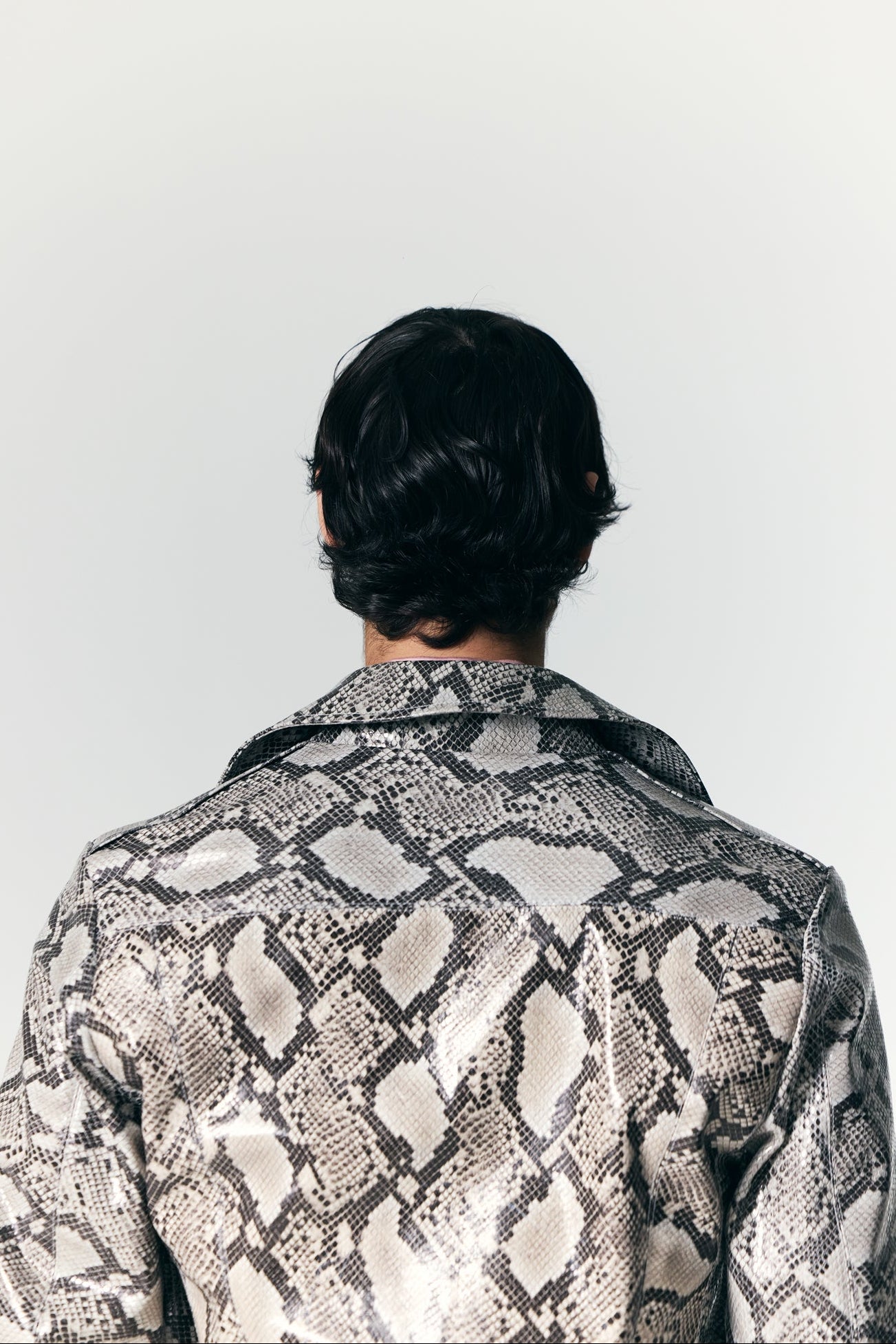 The Python Biker